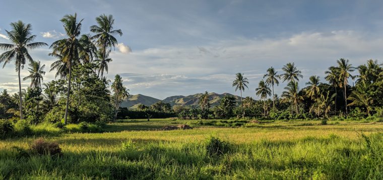 Living the Local Life in Bohol, Philippines