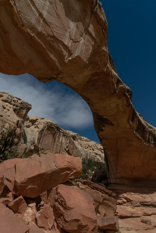 Escalante Grand Staircase and Capitol Reef National Park in a Day