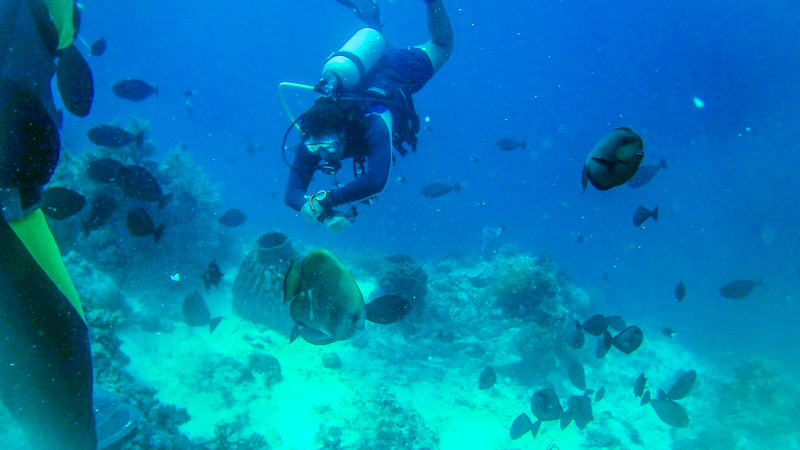 Learning How to Scuba Dive in the Philippines