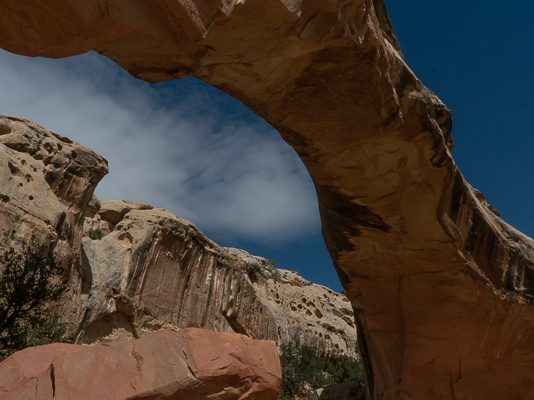 Escalante Grand Staircase and Capitol Reef National Park in a Day
