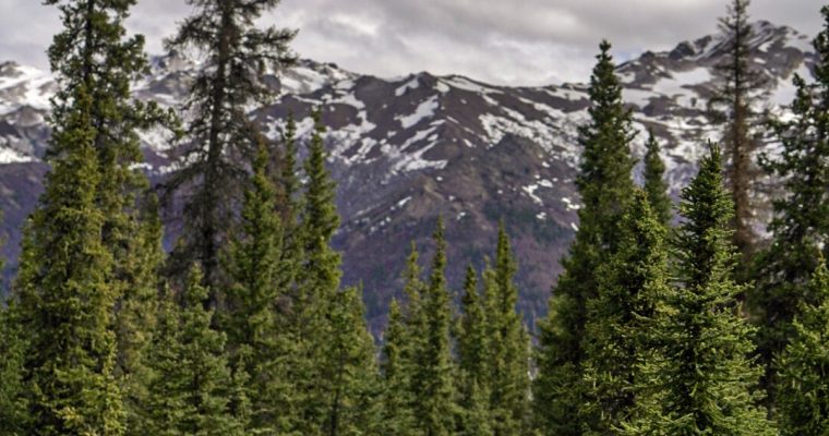 Alaska