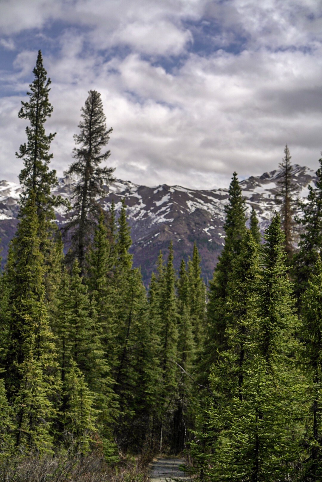 Alaska